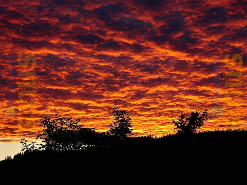 Wolkenhimmel in der Abendsonne